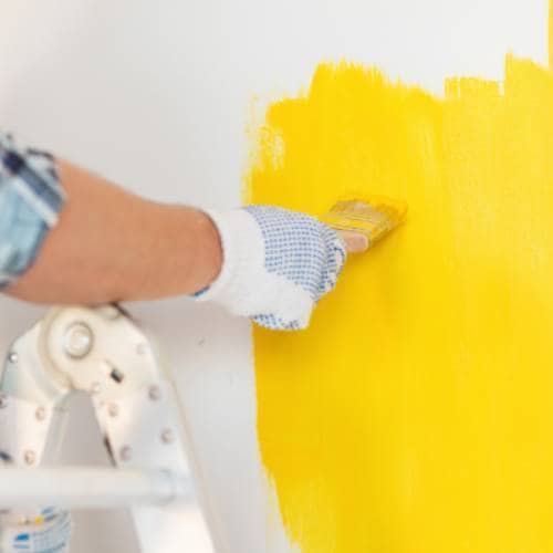 Interior Painting